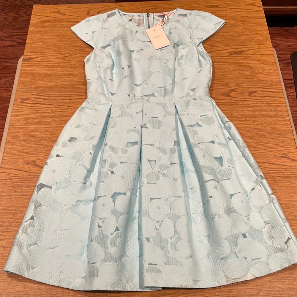 NWT Ted Baker Dress